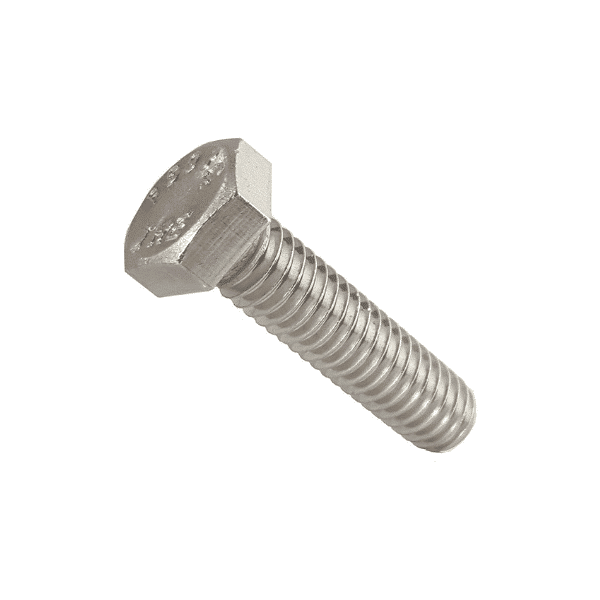 Stainless Steel Screws